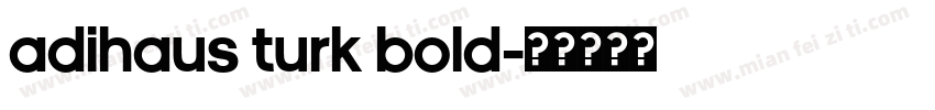 AdiHaus Turk Bold字体转换
